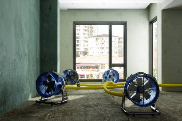 Best Commercial water damage restoration  in Concord, MI